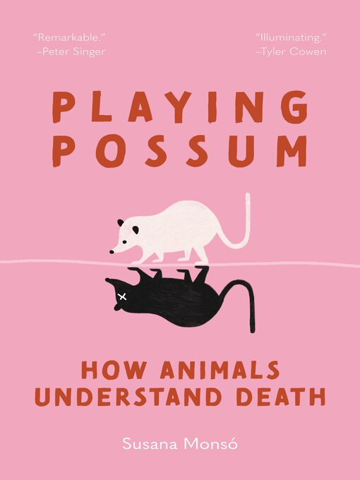 Title details for Playing Possum by Susana Monsó - Available